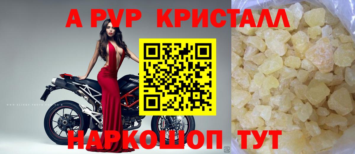 Курчалой  А ПВП крисы CK  Альфа ПВП  Вход с VPN 
