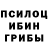 Псилоцибиновые грибы Psilocybine cubensis paddy b