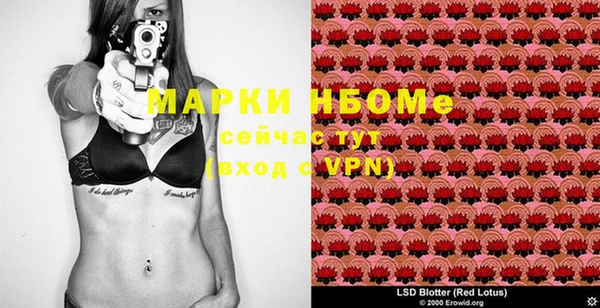 стафф Медногорск