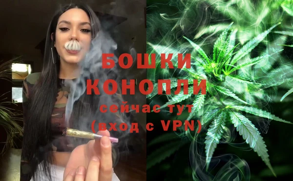стафф Медногорск