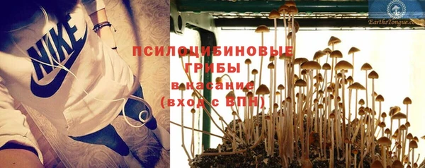 соль курить ск Горняк