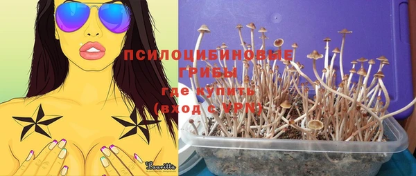 a pvp Михайловск