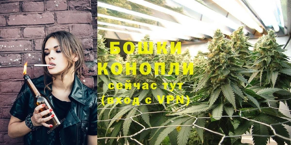 прущая мука Михайлов