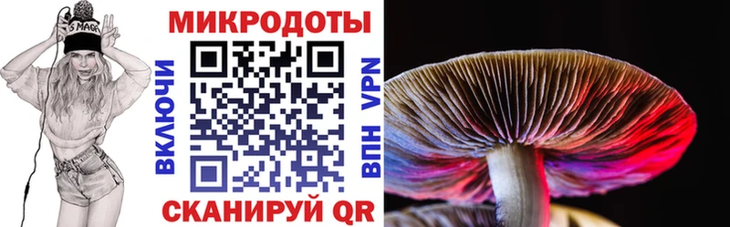 Галлюциногенные грибы GOLDEN TEACHER  нарко площадка телеграм  Курчалой  купить наркотик 